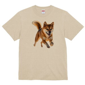 Č TVc  j[NfUCfB[X t@  t vg lJWA 킢 lԗp Mtg I ҏ΍ TVc Č