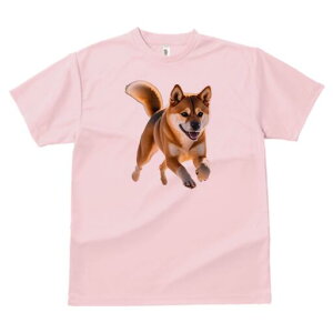 Č TVc  j[NfUCfB[X t@  t vg lJWA 킢 lԗp Mtg I ҏ΍ TVc Č