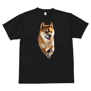 Č TVc  j[NfUCfB[X t@  t vg lJWA 킢 lԗp Mtg I ҏ΍ Č