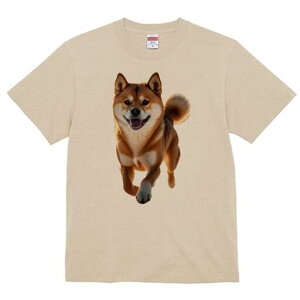 Č TVc  j[NfUCfB[X t@  t vg lJWA 킢 lԗp Mtg I ҏ΍ Č