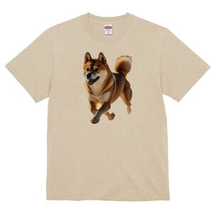 Č TVc  j[NfUCfB[X t@  t vg lJWA 킢 lԗp Mtg I ҏ΍ Č