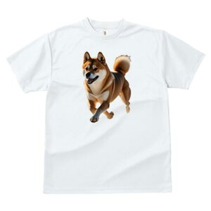 Č TVc  j[NfUCfB[X t@  t vg lJWA 킢 lԗp Mtg I ҏ΍ Č