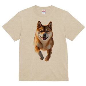 Č TVc  j[NfUCfB[X t@  t vg lJWA 킢 lԗp Mtg I ҏ΍ Ί Č