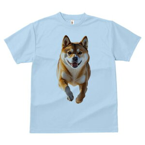 Č TVc  j[NfUCfB[X t@  t vg lJWA 킢 lԗp Mtg I ҏ΍ Ί Č