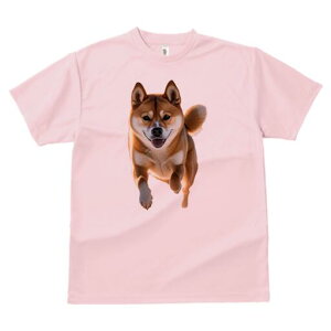 Č TVc  j[NfUCfB[X t@  t vg lJWA 킢 lԗp Mtg I ҏ΍ Č