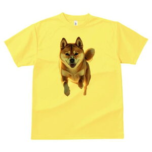 Č TVc  j[NfUCfB[X t@  t vg lJWA 킢 lԗp Mtg I ҏ΍ Č