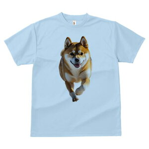 Č TVc  j[NfUCfB[X t@  t vg lJWA 킢 lԗp Mtg I ҏ΍ Ί Č 