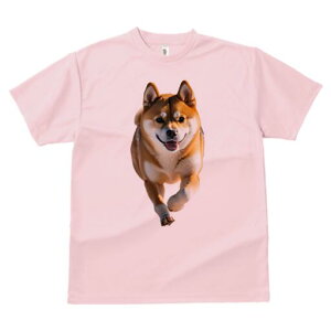 Č TVc  j[NfUCfB[X t@  t vg lJWA 킢 lԗp Mtg I ҏ΍ Ί Č 