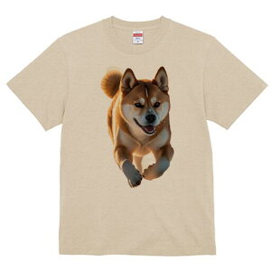 Hc TVc  j[NfUCfB[X t@  t vg lJWA 킢 lԗp Mtg I ҏ΍ Hc