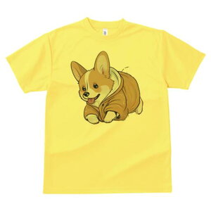 R[M[ TVc  j[NfUCfB[X t@  t vg lJWA 킢 lԗp Mtg I ҏ΍ WPbg R[M[