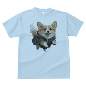 コーギー Tシャツ 犬愛 ユニークデザインレディース 犬ファン 半袖 春夏 プリント 大人カジュアル かわいい 人間用 ギフト 個性的 猛暑対策 レインコート コーギー