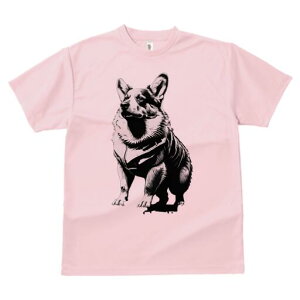 R[M[ TVc  j[NfUCfB[X t@  t vg lJWA 킢 lԗp Mtg I ҏ΍ R[M[