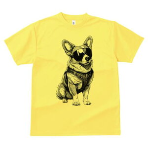 R[M[ TVc  j[NfUCfB[X t@  t vg lJWA 킢 lԗp Mtg I ҏ΍ TOX R[M[ n[lX