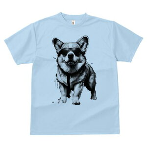 R[M[ TVc  j[NfUCfB[X t@  t vg lJWA 킢 lԗp Mtg I ҏ΍ TOX R[M[