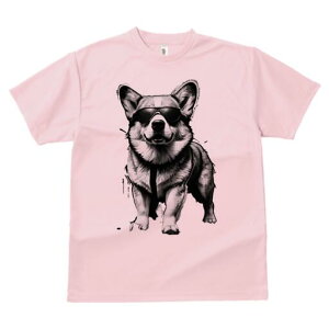 R[M[ TVc  j[NfUCfB[X t@  t vg lJWA 킢 lԗp Mtg I ҏ΍ TOX R[M[