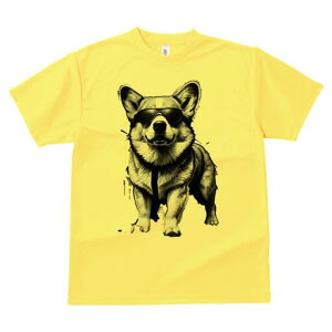 R[M[ TVc  j[NfUCfB[X t@  t vg lJWA 킢 lԗp Mtg I ҏ΍ TOX R[M[