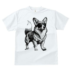 R[M[ TVc  j[NfUCfB[X t@  t vg lJWA 킢 lԗp Mtg I ҏ΍ TOX R[M[