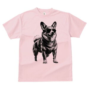 R[M[ TVc  j[NfUCfB[X t@  t vg lJWA 킢 lԗp Mtg I ҏ΍ TOX R[M[ xXg