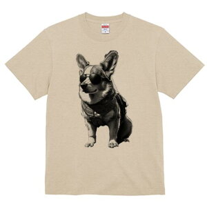 R[M[ TVc  j[NfUCfB[X t@  t vg lJWA 킢 lԗp Mtg I ҏ΍ TOX R[M[ n[lX