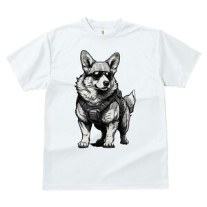 R[M[ TVc  j[NfUCfB[X t@  t vg lJWA 킢 lԗp Mtg I ҏ΍ TOX R[M[ n[lX