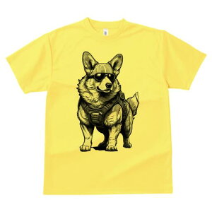 R[M[ TVc  j[NfUCfB[X t@  t vg lJWA 킢 lԗp Mtg I ҏ΍ TOX R[M[ n[lX