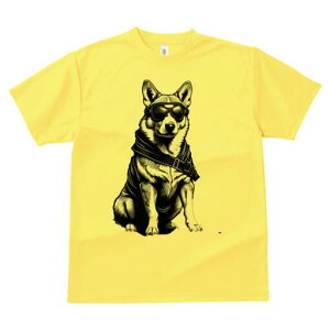 R[M[ TVc  j[NfUCfB[X t@  t vg lJWA 킢 lԗp Mtg I ҏ΍ TOX R[M[ vW