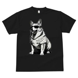 R[M[ TVc  j[NfUCfB[X t@  t vg lJWA 킢 lԗp Mtg I ҏ΍ TOX R[M[ 