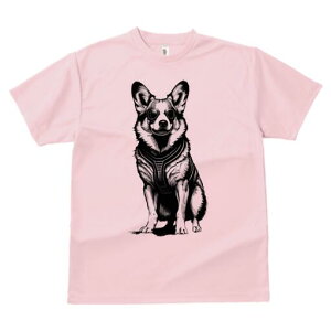 R[M[ TVc  j[NfUCfB[X t@  t vg lJWA 킢 lԗp Mtg I ҏ΍ TOX R[M[ n[lX