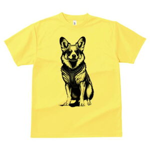 R[M[ TVc  j[NfUCfB[X t@  t vg lJWA 킢 lԗp Mtg I ҏ΍ TOX R[M[ n[lX