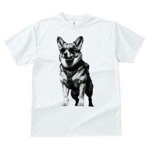 R[M[ TVc  j[NfUCfB[X t@  t vg lJWA 킢 lԗp Mtg I ҏ΍ TOX R[M[ n[lX obNpbN