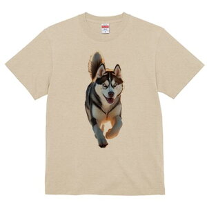 VxAnXL[ TVc  j[NfUCfB[X t@  t vg lJWA 킢 lԗp Mtg I ҏ΍ VxAnXL[