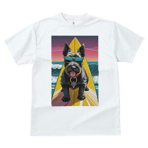 XReBbVeA TVc  j[NfUCfB[X t@  t vg lJWA 킢 lԗp Mtg I ҏ΍ T[t{[h XReBbVeA