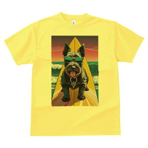 XReBbVeA TVc  j[NfUCfB[X t@  t vg lJWA 킢 lԗp Mtg I ҏ΍ T[t{[h XReBbVeA