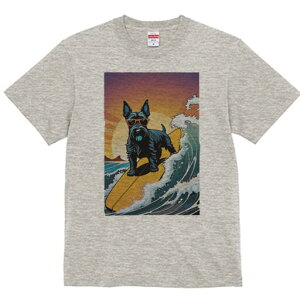 XReBbVeA TVc  j[NfUCfB[X t@  t vg lJWA 킢 lԗp Mtg I ҏ΍ T[tB XReBbVeA 