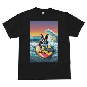 {XgeA TVc  j[NfUCY LbY t@  t vg lJWA 킢 lԗp Mtg I ҏ΍ g {XgeA T[tB C 