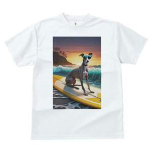 C^AO[nEh TVc  j[NfUCY LbY t@  t vg lJWA 킢 lԗp Mtg I ҏ΍ T[tB C^AO