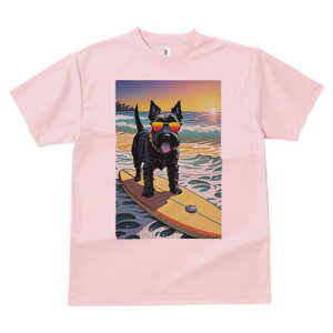 XReBbVeA TVc  j[NfUCfB[X t@  t vg lJWA 킢 lԗp Mtg I ҏ΍ T[tB XReBbVeA 