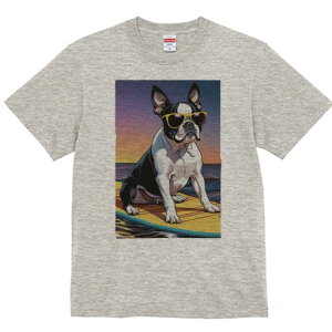 {XgeA TVc  j[NfUCfB[X t@  t vg lJWA 킢 lԗp Mtg I ҏ΍ TOX {XgeA T[t{[h 