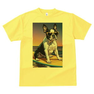 {XgeA TVc  j[NfUCfB[X t@  t vg lJWA 킢 lԗp Mtg I ҏ΍ TOX {XgeA T[t{[h 