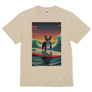 {XgeA TVc  j[NfUCfB[X t@  t vg lJWA 킢 lԗp Mtg I ҏ΍ g {XgeA T[tB C 