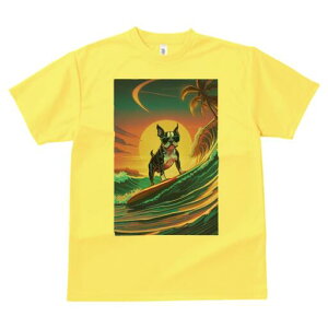 {XgeA TVc  j[NfUCY LbY t@  t vg lJWA 킢 lԗp Mtg I ҏ΍ g {XgeA T[tB z r