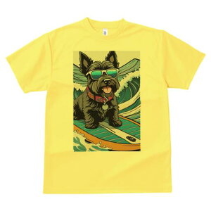 PA[eA TVc  j[NfUCY LbY t@  t vg lJWA 킢 lԗp Mtg I ҏ΍ TOX PA[eA T[tB 