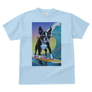 {XgeA TVc  j[NfUCfB[X t@  t vg lJWA 킢 lԗp Mtg I ҏ΍ TOX {XgeA g T[tB