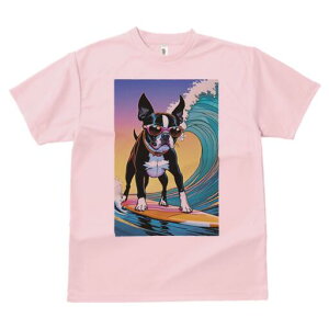 {XgeA TVc  j[NfUCfB[X t@  t vg lJWA 킢 lԗp Mtg I ҏ΍ TOX {XgeA g T[tB