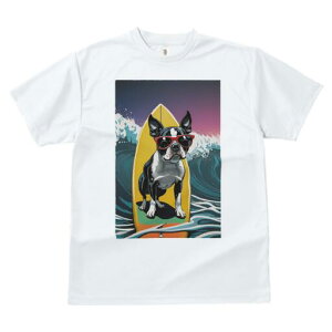 {XgeA TVc  j[NfUCfB[X t@  t vg lJWA 킢 lԗp Mtg I ҏ΍ T[tB {XgeA g TOX