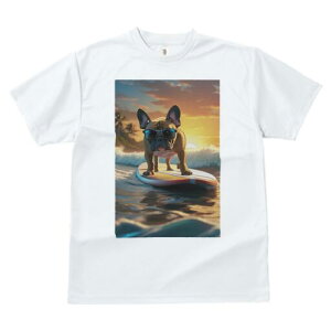 t`uhbO TVc  j[NfUCfB[X t@  t vg lJWA 킢 lԗp Mtg I ҏ΍ T[tB t`uhbO C  