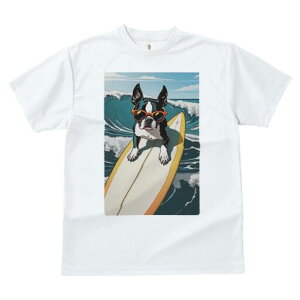 {XgeA TVc  j[NfUCY LbY t@  t vg lJWA 킢 lԗp Mtg I ҏ΍ T[tB {XgeA g C T