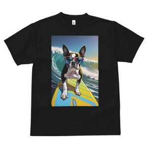 {XgeA TVc  j[NfUCfB[X t@  t vg lJWA 킢 lԗp Mtg I ҏ΍ g {XgeA T[tB TOX 