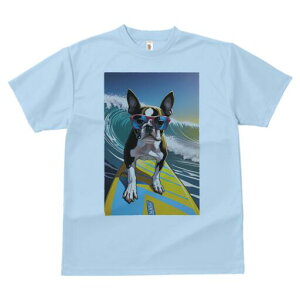 {XgeA TVc  j[NfUCfB[X t@  t vg lJWA 킢 lԗp Mtg I ҏ΍ g {XgeA T[tB TOX 