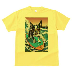 {XgeA TVc  j[NfUCfB[X t@  t vg lJWA 킢 lԗp Mtg I ҏ΍ T[tB {XgeA C g TO